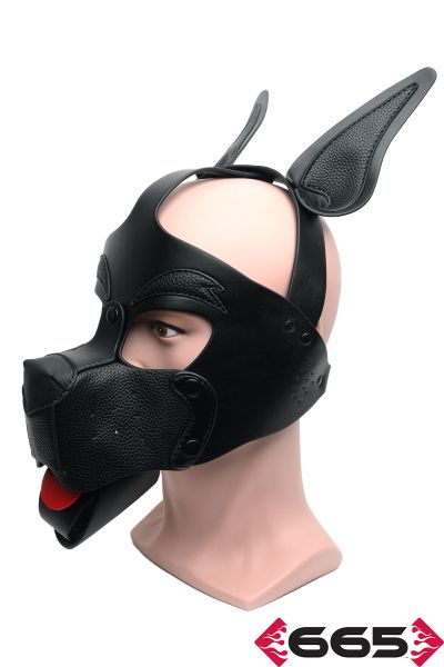 FE23238 – Playful Pup Hood