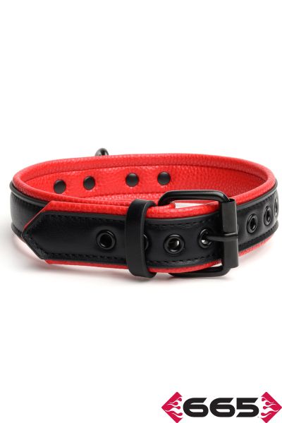 FE23395 – Vegan Collar