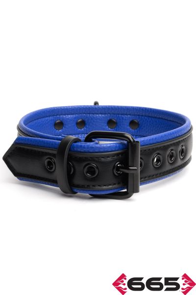 FE23396 – Vegan Collar