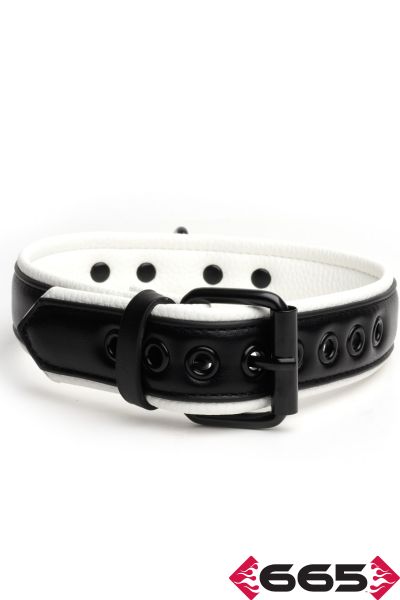 FE23397 – Vegan Collar