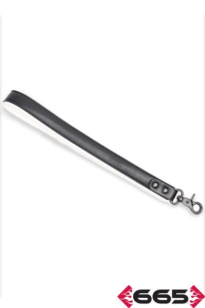 FE23401 – Vegan Leash