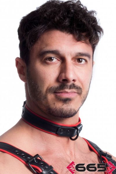 FE23395 – Vegan Collar