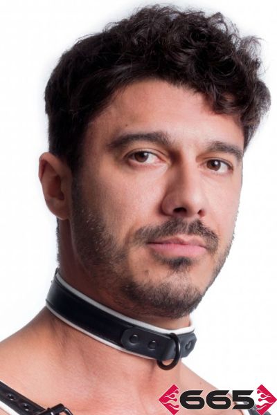 FE23397 – Vegan Collar