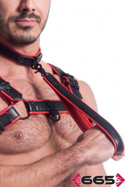 FE23399 – Vegan Leash