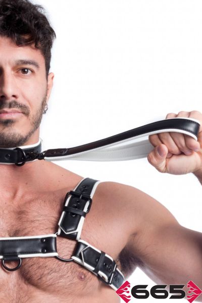 FE23401 – Vegan Leash