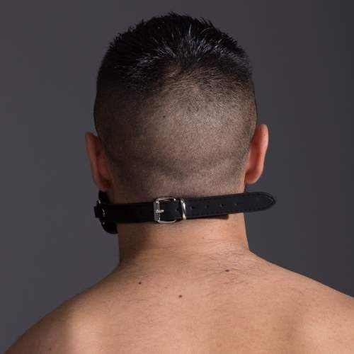 FE18443 - Puppy Bone Gag