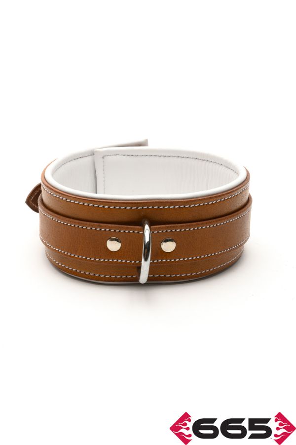 FE20490 – Asylum Collar