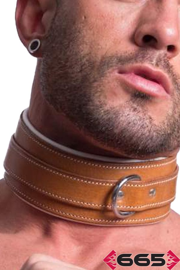 FE20490 – Asylum Collar