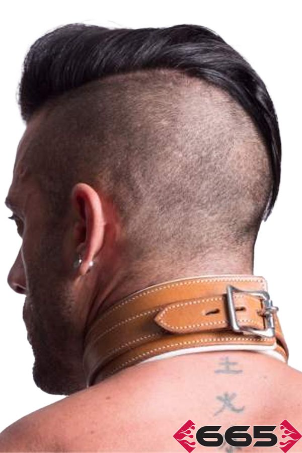 FE20490 – Asylum Collar