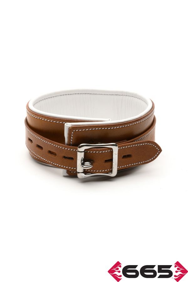 FE20490 – Asylum Collar