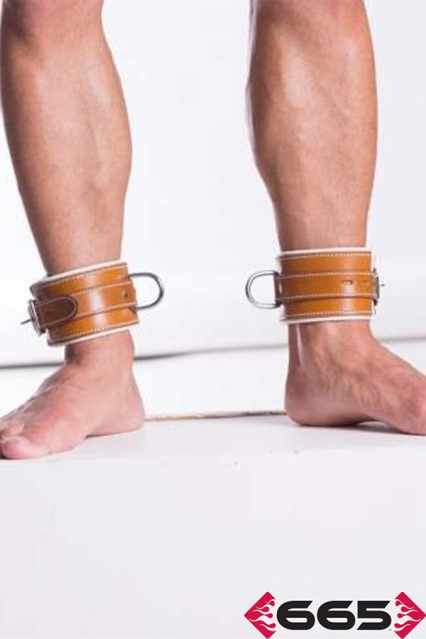 FE20492 – Asylum Ankle Restraints