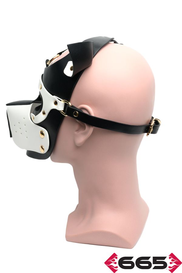 FE23234 – Bondage Pup Hood
