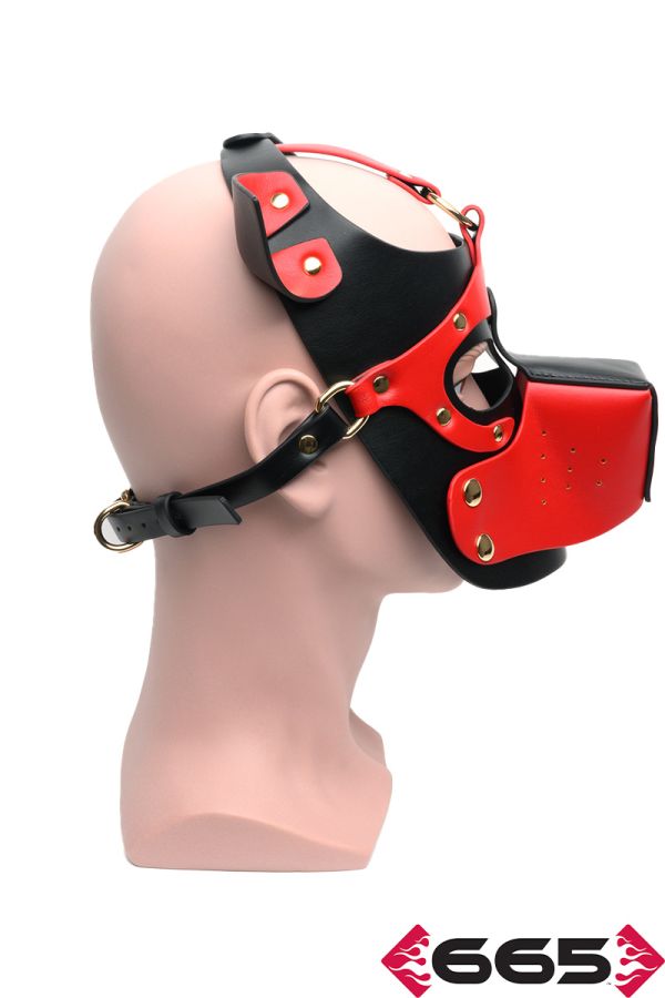 FE23235 – Bondage Pup Hood