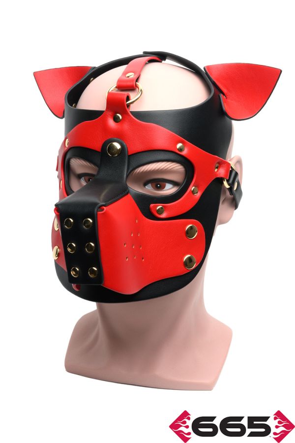 FE23233 – Bondage Pup Hood