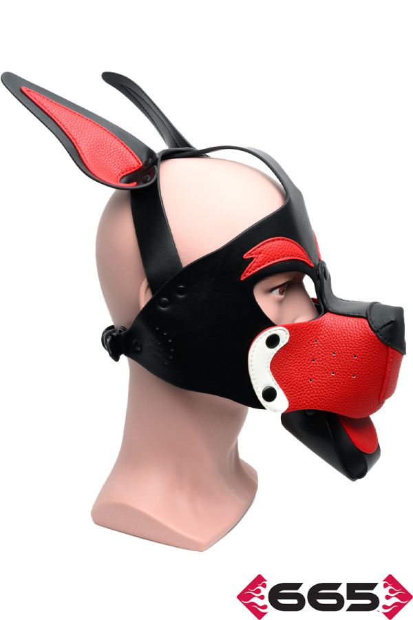 FE23236 – Playful Pup Hood
