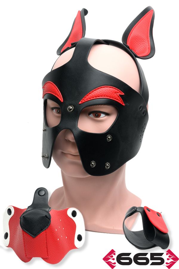 FE23236 – Playful Pup Hood