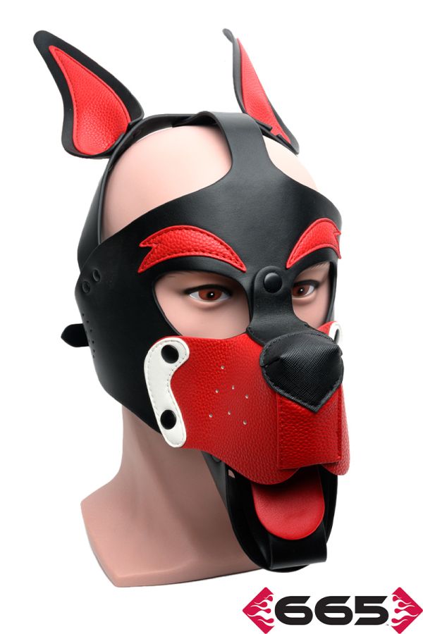 FE23237 – Playful Pup Hood