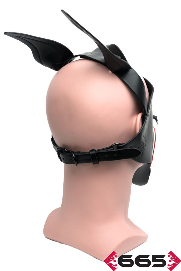 FE23237 – Playful Pup Hood