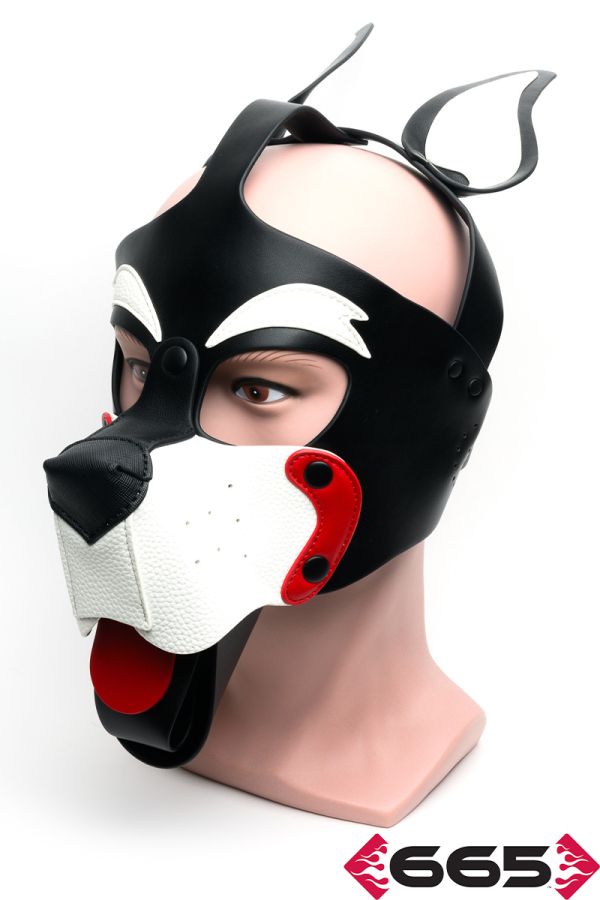 FE23237 – Playful Pup Hood
