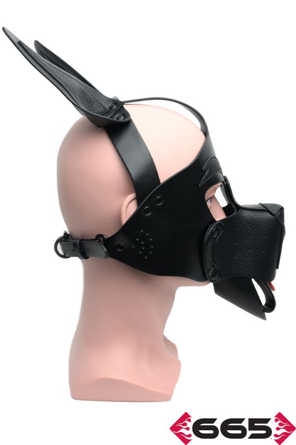 FE23238 – Playful Pup Hood