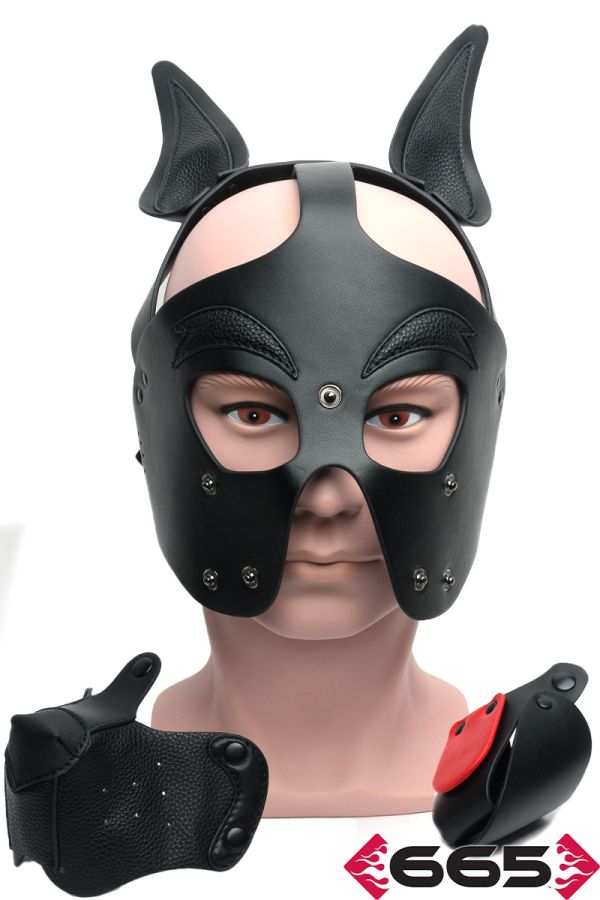 FE23238 – Playful Pup Hood