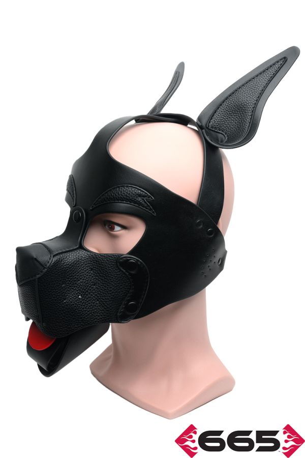 FE23237 – Playful Pup Hood