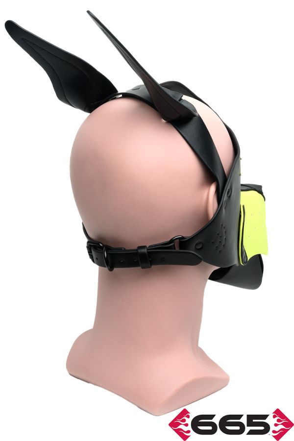 FE23239 – Playful Pup Hood