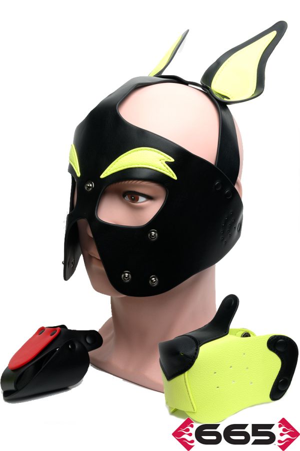 FE23239 – Playful Pup Hood
