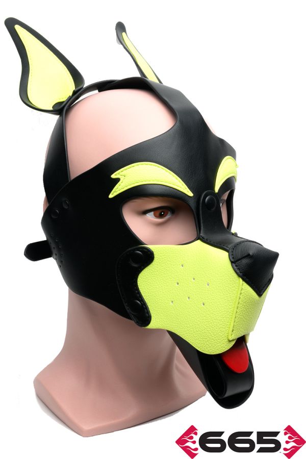 FE23239 – Playful Pup Hood