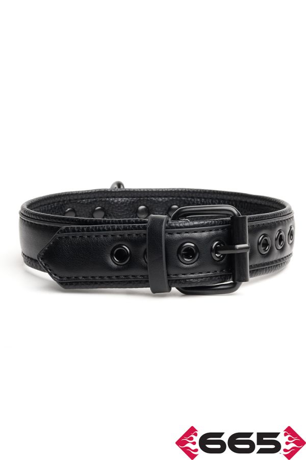 FE23394 – Vegan Collar
