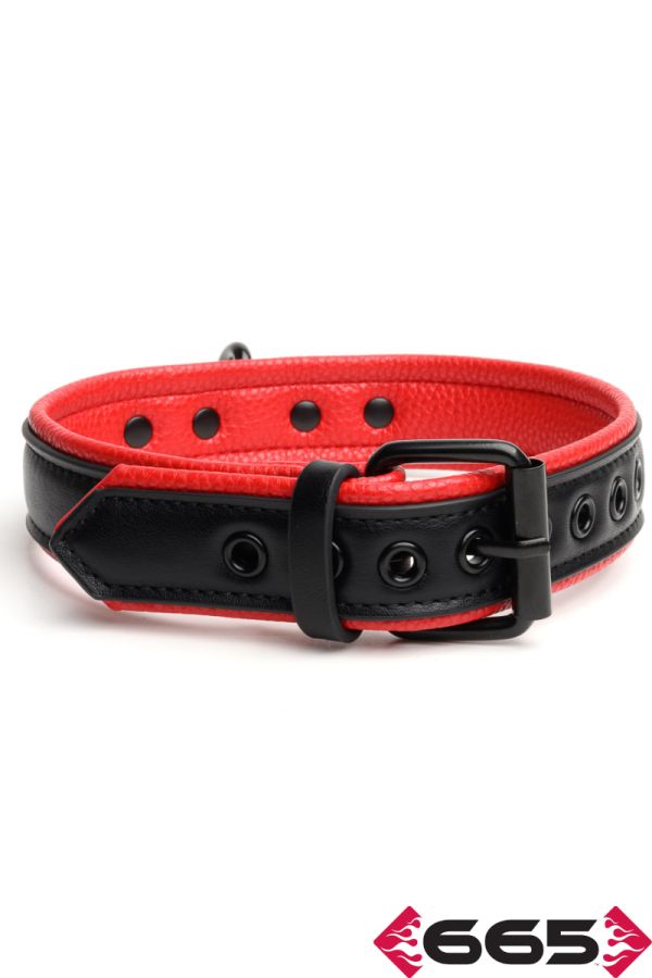 FE23395 – Vegan Collar