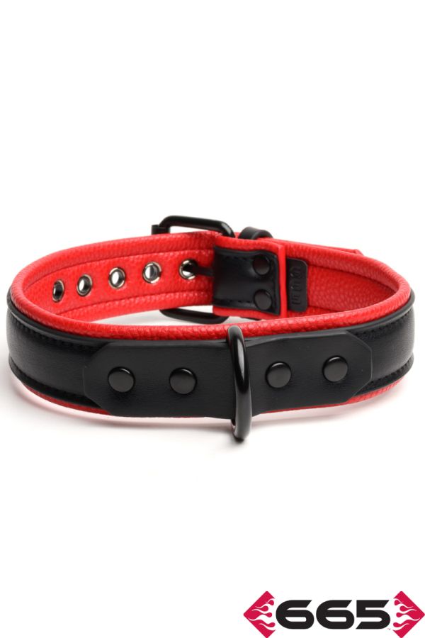 FE23395 – Vegan Collar