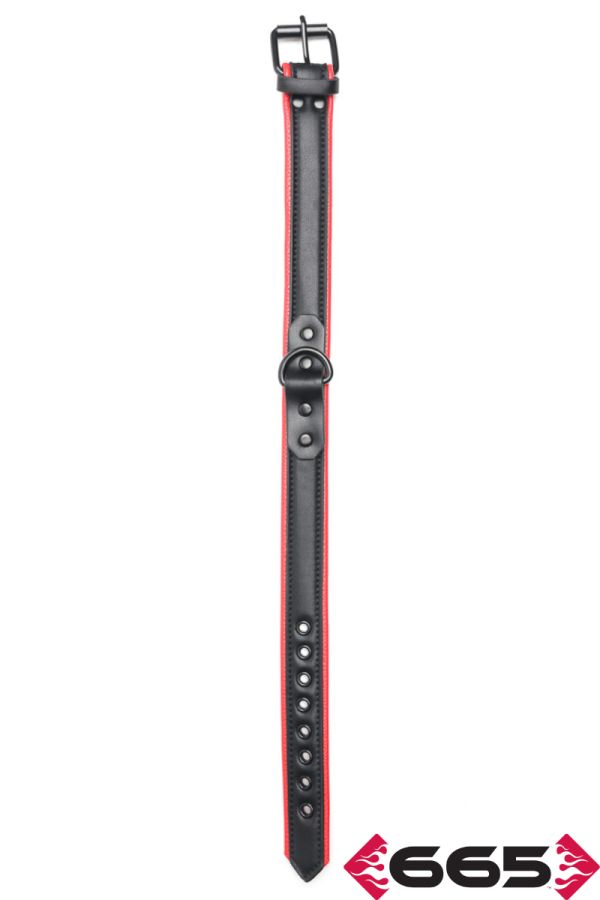 FE23395 – Vegan Collar