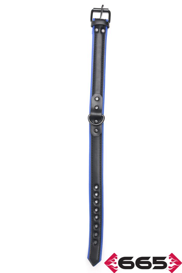 FE23394 – Vegan Collar