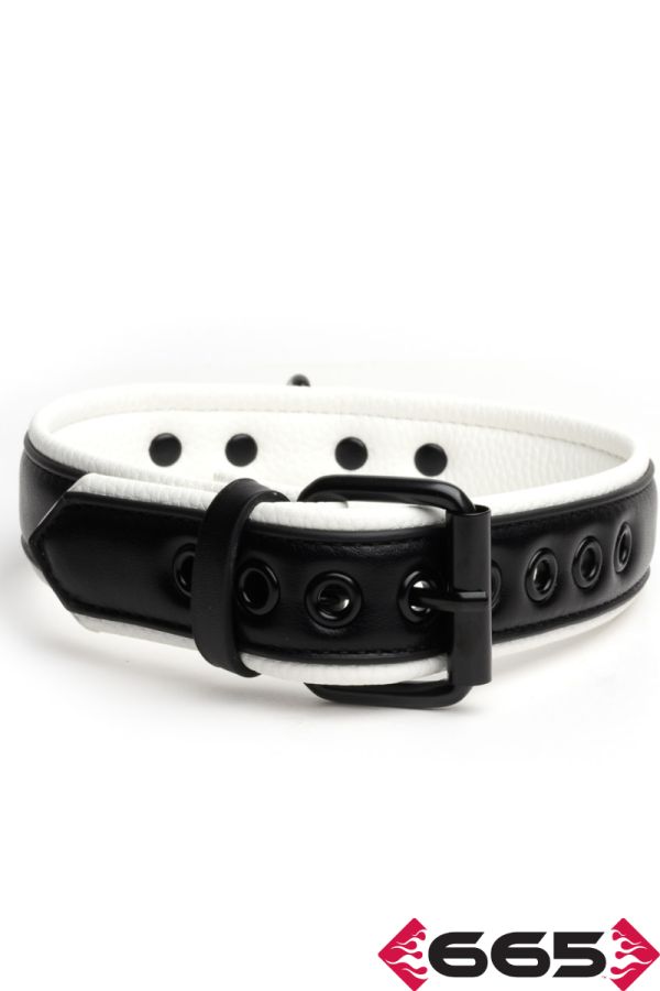 FE23397 – Vegan Collar