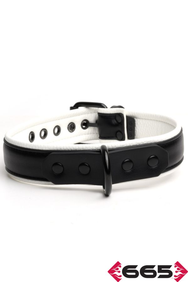 FE23397 – Vegan Collar