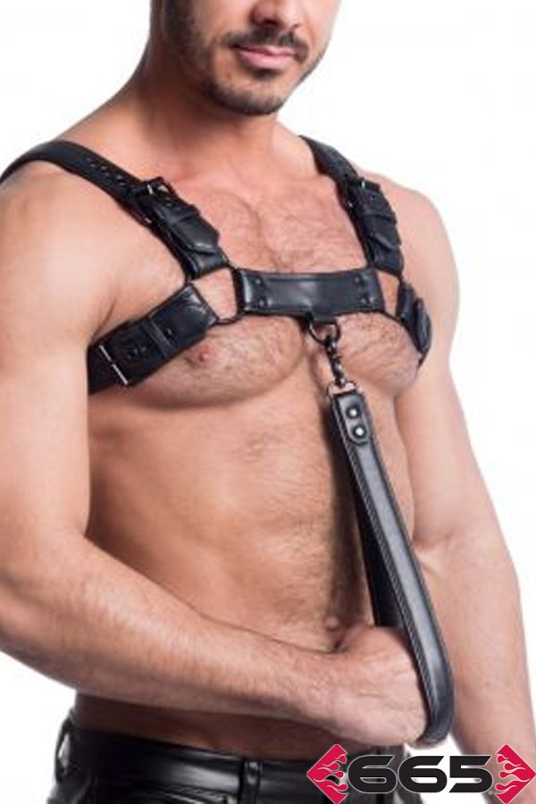 FE23398 – Vegan Leash