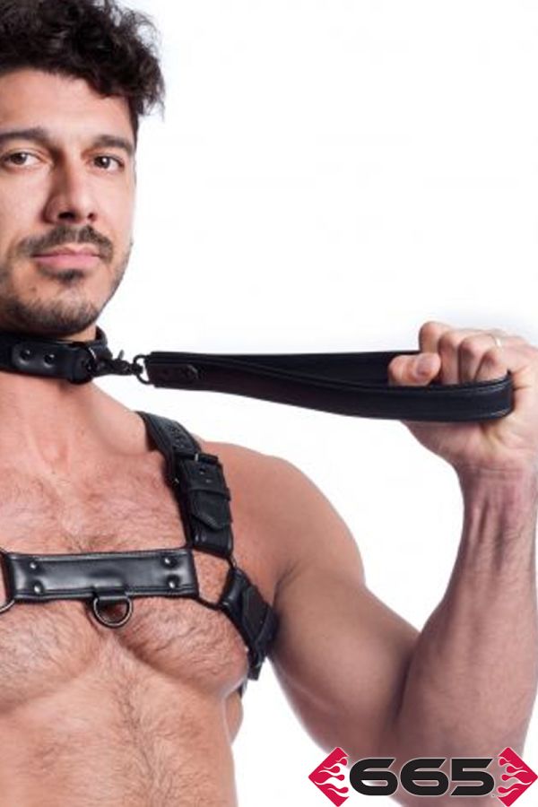 FE23398 – Vegan Leash