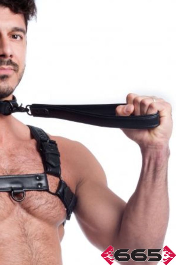FE23398 – Vegan Leash