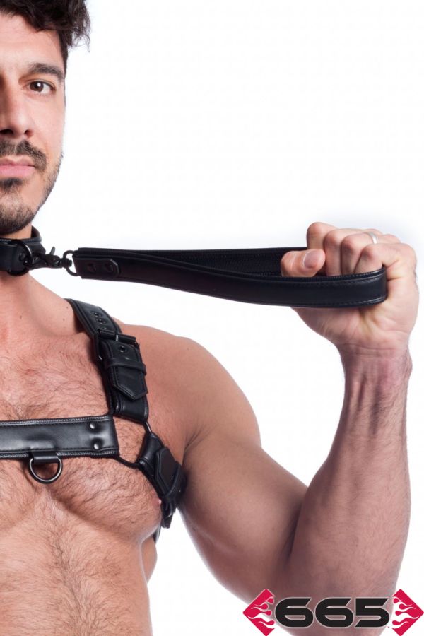 FE23398 – Vegan Leash