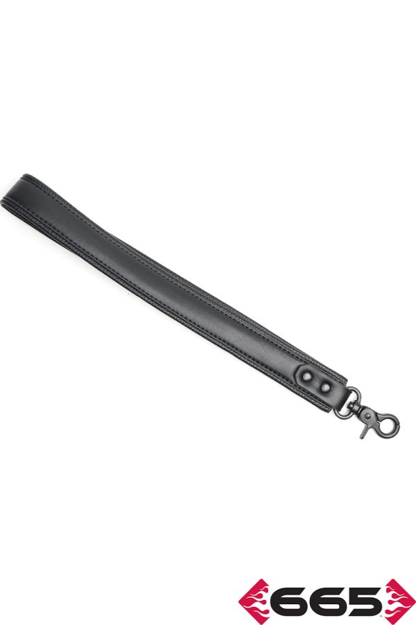 FE23398 – Vegan Leash