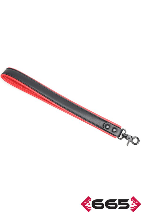 FE23398 – Vegan Leash
