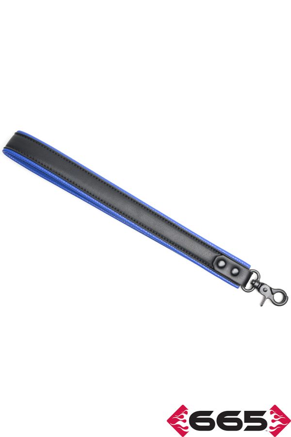 FE23400 – Vegan Leash