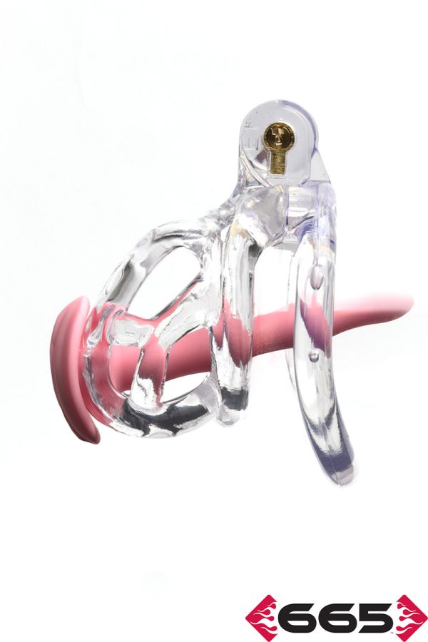 FE23611M – The Guardian (Clear) by CellMate