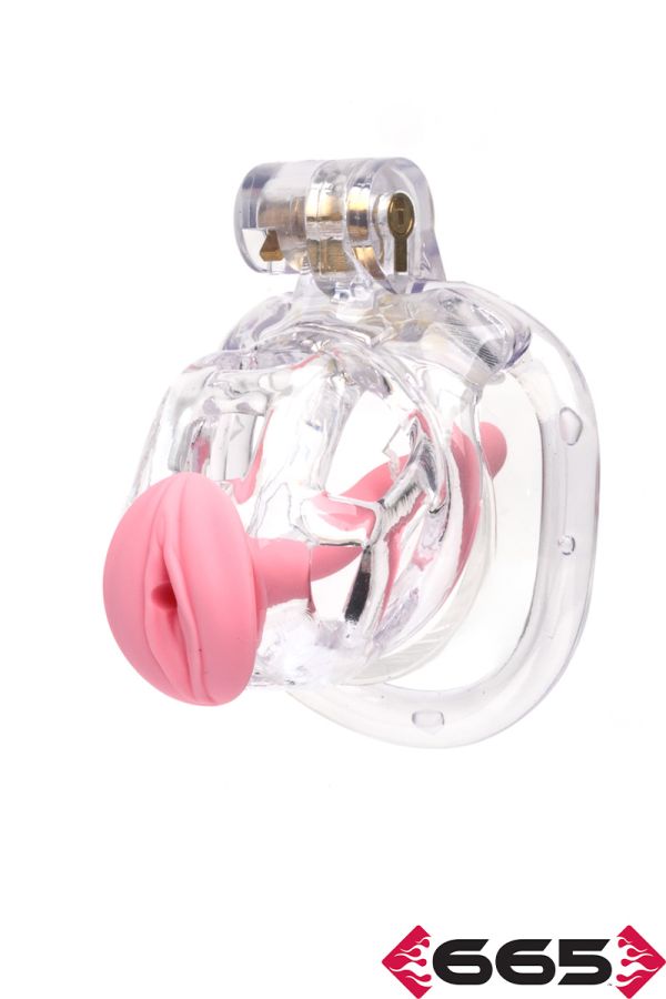 FE23611M – The Guardian (Clear) by CellMate