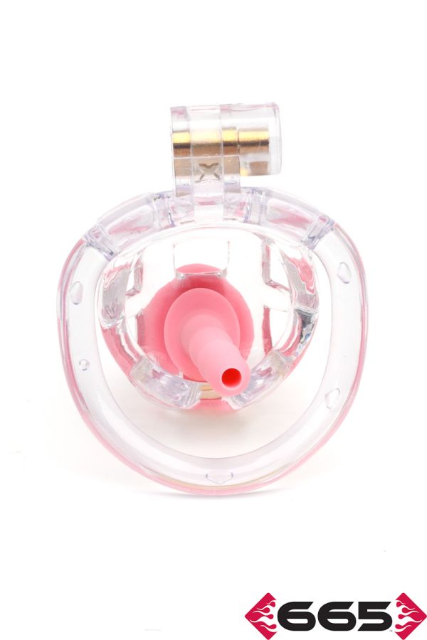 FE23611M – The Guardian (Clear) by CellMate