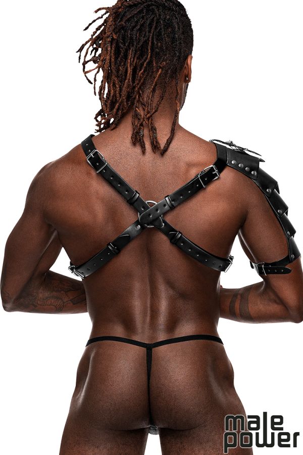 MP593-266 - Leather Chest Harness