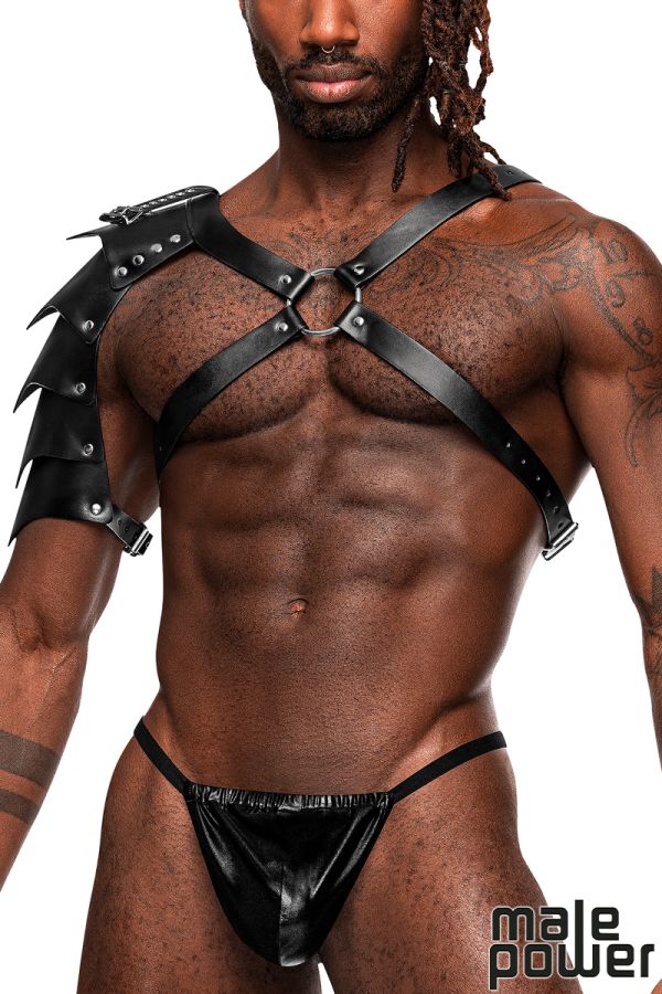 MP593-266 - Leather Chest Harness