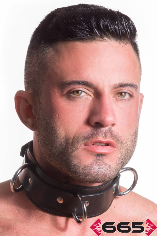 FE21891 - Heavy Duty Collar Restraint