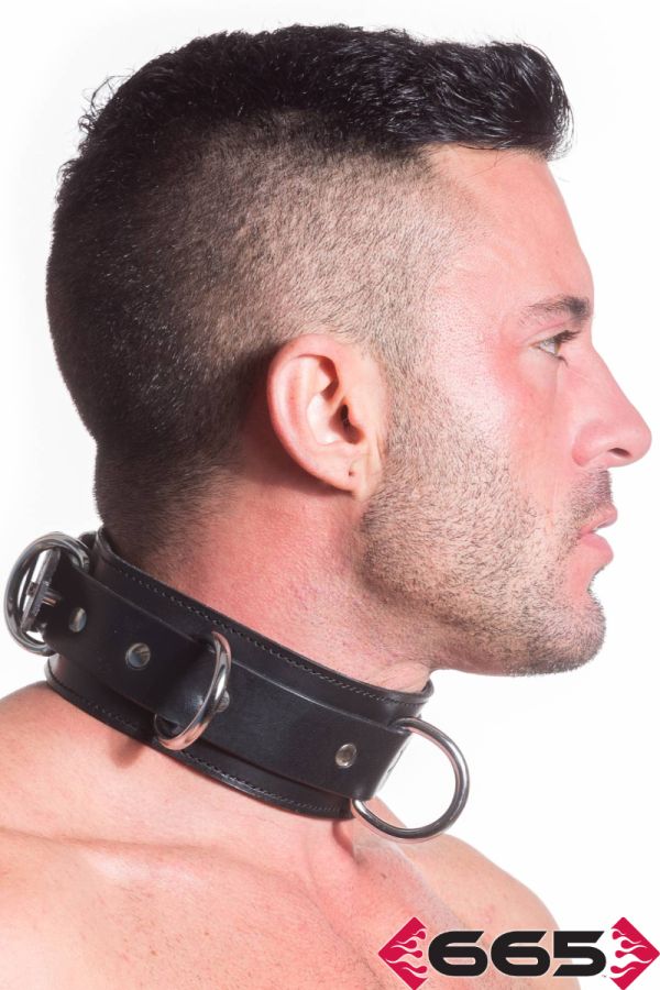 FE21891 - Heavy Duty Collar Restraint
